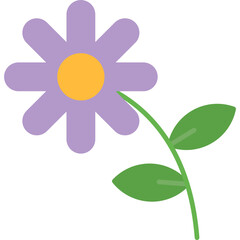 Asteraceae Icon