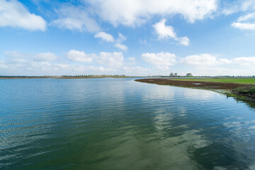 Nature reserve Waterdunen, the Netherlands
