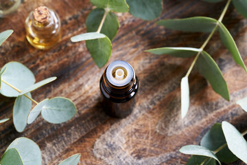 Obraz na płótnie Canvas A bottle of essential oil with fresh eucalyptus plant