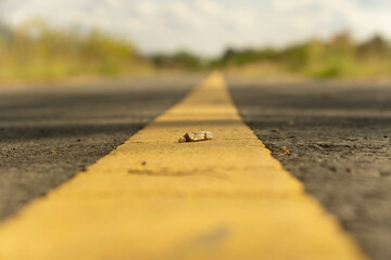 Stone on road to forest and sky