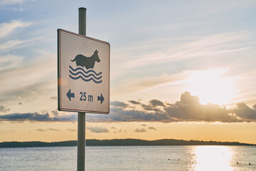 Dog friendly beach sign at sunset near the seashore