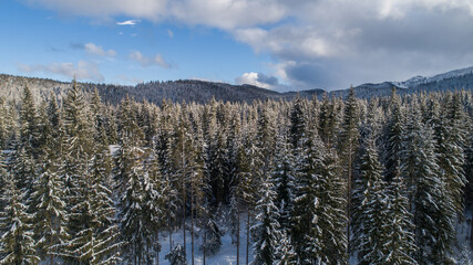 snow covered mountains