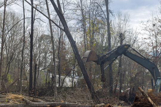 In construction site that involved subdivision of housing development, skid steer tractor used to clear land uproot trees that had been uprooted
