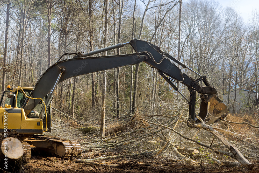 Wall mural Tractor removes broken branches uprooting trees in park after strong hurricane