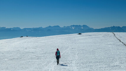 Woman hiking along fence on snow covered alpine meadow near Ladinger Spitz, Saualpe, Lavanttal Alps, Carinthia, Austria, Europe. Trekking in Austrian Alps in winter. Ski touring and snow shoe tourism