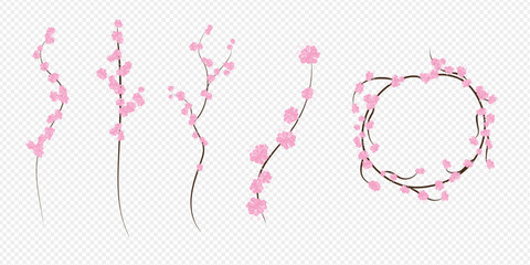 vector cherry blossom, sakura branch with pink flowers