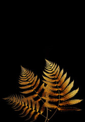 tropical gold leaf forest glow in the dark background. High contrast. 3d illustration