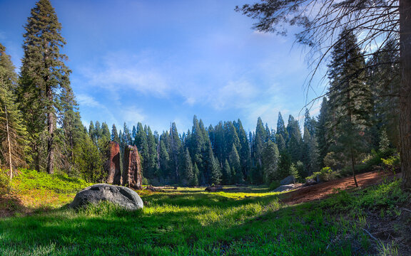 Sequoia National Forest