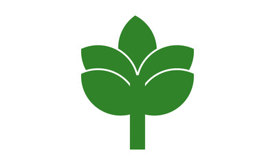 logo leaf agriculture vector