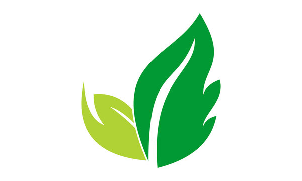 nature leaf vector logo