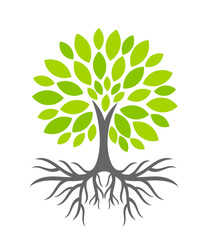 Green tree with roots. Tree icon illustration. - 558143437