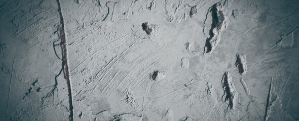 gray rock with colorful moss