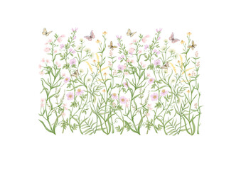 Wild flowers and butterflies Clip art, set of elements for design Vector illustration. In botanical style