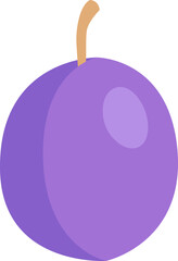 Plum fruit tree flat icon Organic garden berry