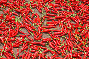 Red peppers laying in the sun to dry