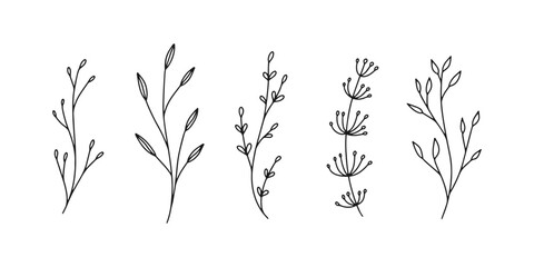 Set of botanical line art floral leaves, plants. Hand drawn sketch branches isolated on white background. Vector illustration