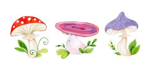 Botanical autumn watercolor set of mushrooms and forest plants. Hand painted watercolor.