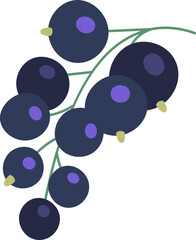 Tasty organic blackberries flat icon