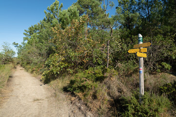 Bassin d’Arcachon (Gironde, France). Panneau de direction d’un chemin de randonnée dans la réserve des prés salés de Lège-Arès