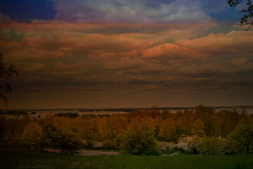 sunset in the forest