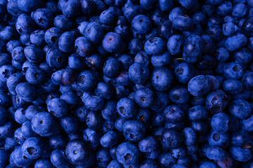 Fresh blueberry background. Texture blueberry berries close up.
