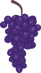 Grape berry flat icon Tasty organic fruit