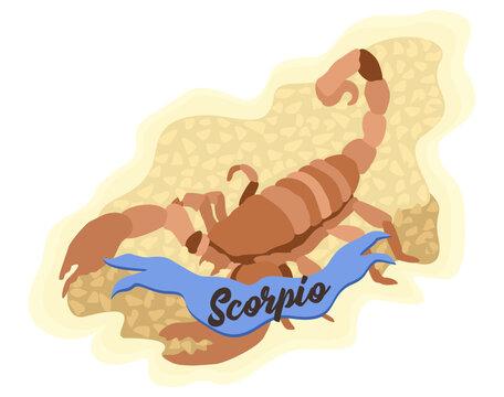 Scorpio. Zodiac sign. Vector isolated composition with lettering on light background. Horoscope concept. Scorpion lying on the sand.