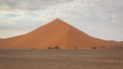 Fototapeta na wymiar big red sand dune in sossusvlei the desert of namibia