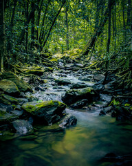 Cold creek in autumn forest. Autumn forest stream view with moss covered rocks.