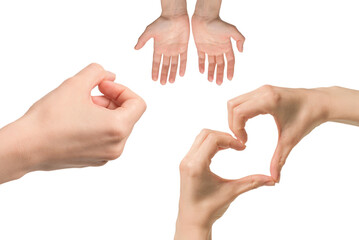 Woman hand isolated on a white background.