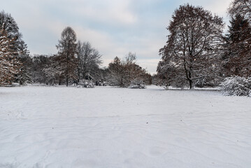 Snow covered public trail with frozen trees and mostly cloudy sky