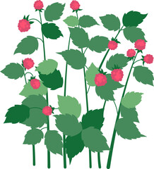 Tasty organic raspberries on green bush flat icon