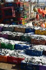 Essaouira,Morocco,Africa, sardine catch at the port.