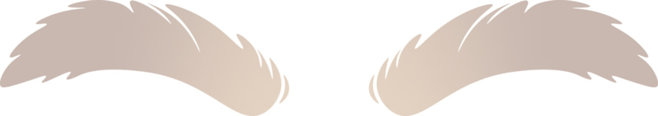 Silver shaggy eyebrows flat icon
