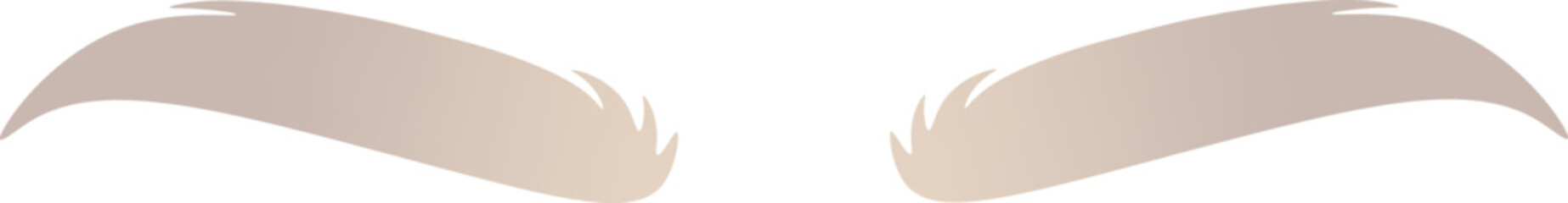 Well-groomed silver eyebrows flat icon