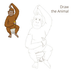 Draw the animal orangutan educational game PNG illustration with transparent background © Oleksandr Pokusai