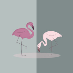 postcard pink flamingos green leaves