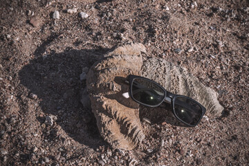 Large sea shell and sunglasses on the sand. Sunny summer day. Beautiful seascape.