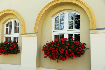 Fototapeta na wymiar Windows decorated with blooming beautiful flowers outdoors