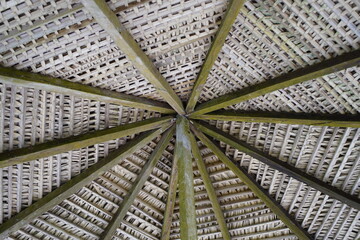 Roof covering made from palm leaves. Amazon, Brazil.