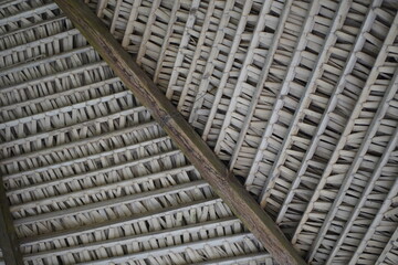 Roof covering made from palm leaves. Amazon, Brazil.