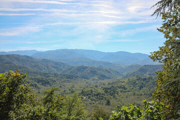 Beautiful mountain landscape with forest on sunny day