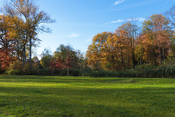 Fototapeta na wymiar Picturesque view of park with beautiful trees and green grass on sunny day. Autumn season