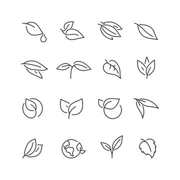 Leaf related icons: thin vector icon set, black and white kit