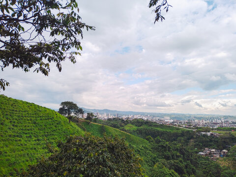 view of a natural Colombian coffee landscape, in the background the city of Pereira, Colombia.