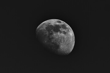 The waning moon in the early morning in spring