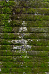 Mossy brick wall as a 3D texture