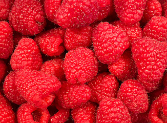 Background of fresh raspberries. Close-up. View from above. Copy space