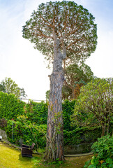 April 24 2022- Anacapri Italy landscape