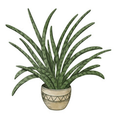 Watercolor illustration of a green vase. Sketch of a vase for stickers, posters, for printing on stationery, notebooks, postcards, invitations.